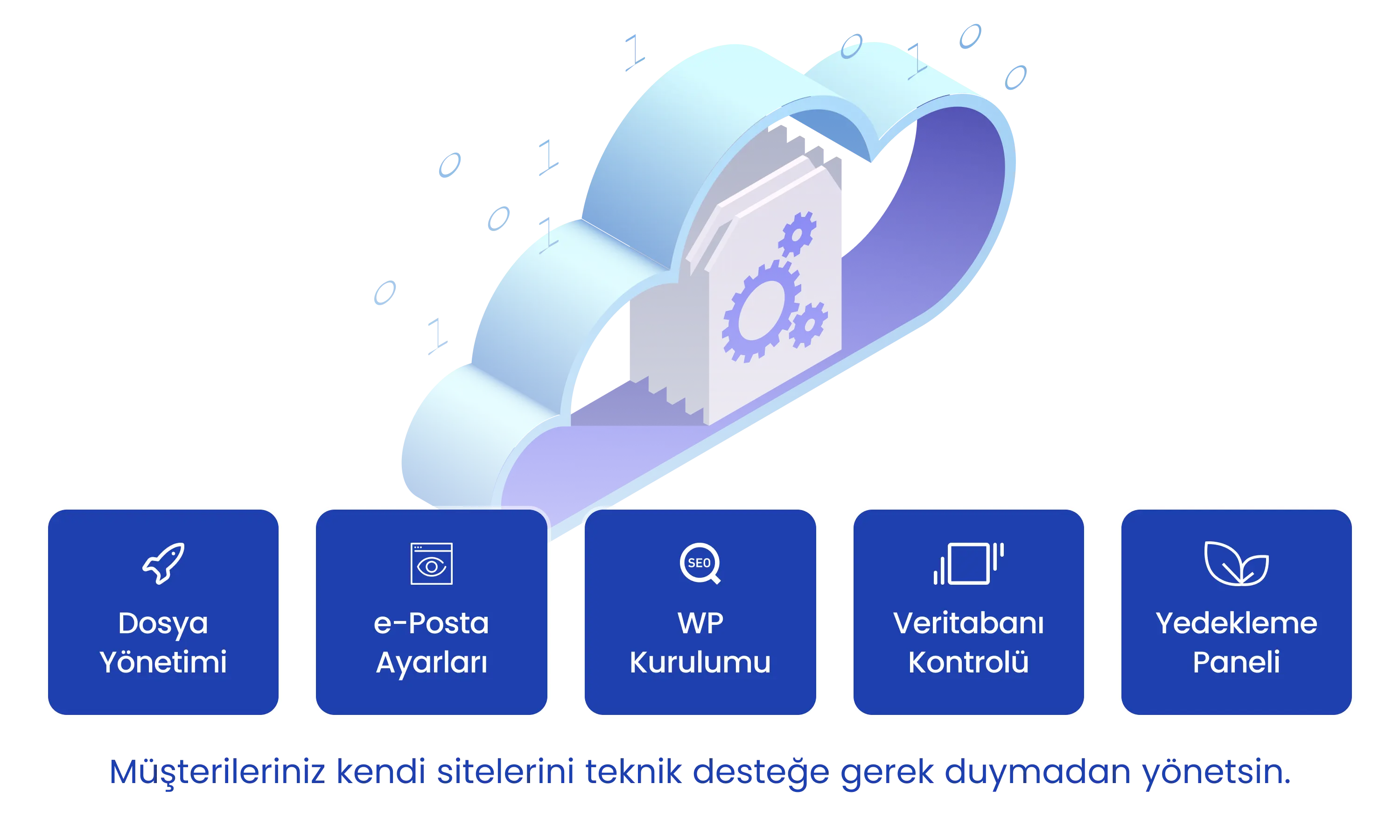 Bayi hosting cPanel erişimi dağıtımı