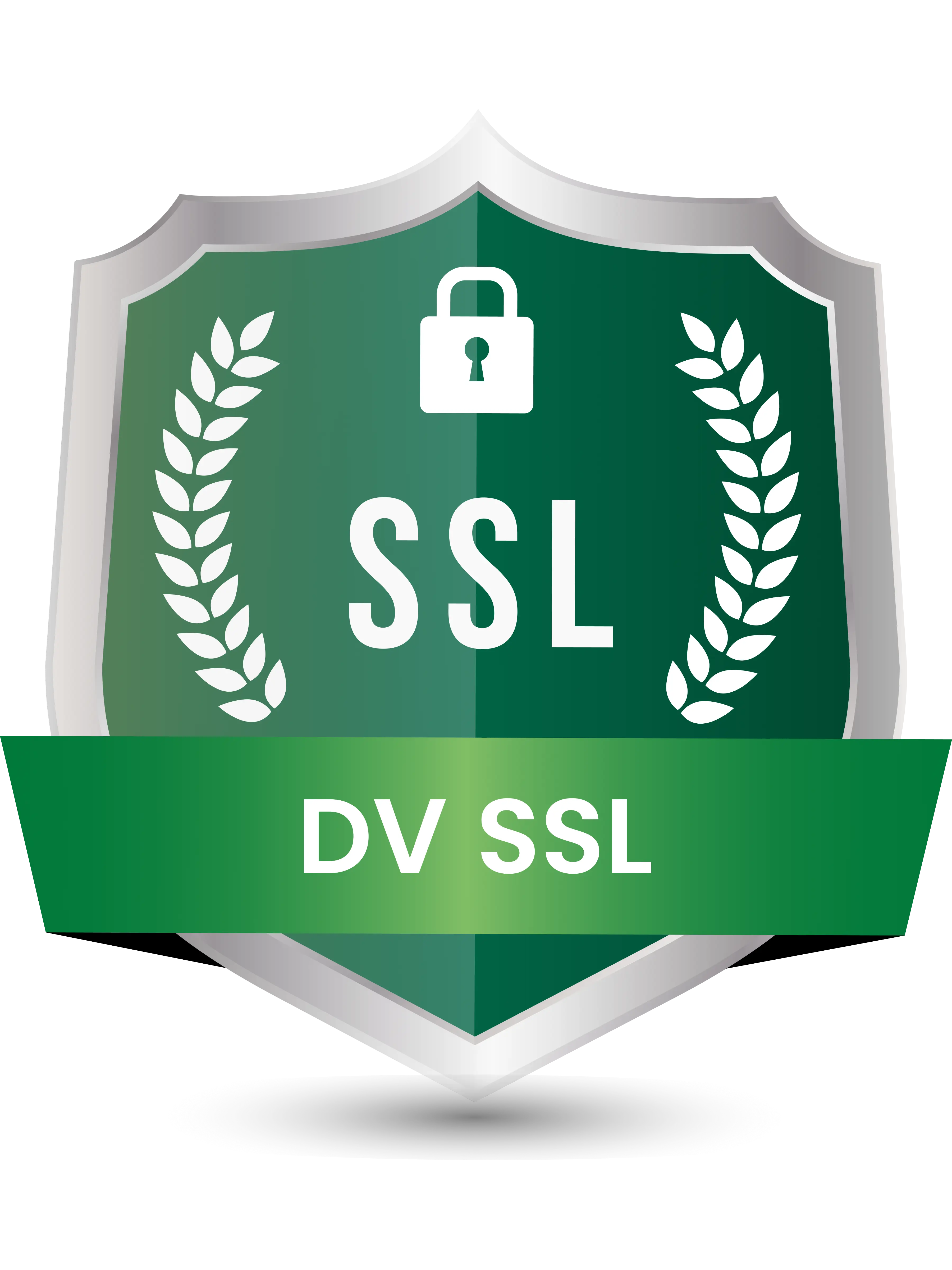 DV SSL