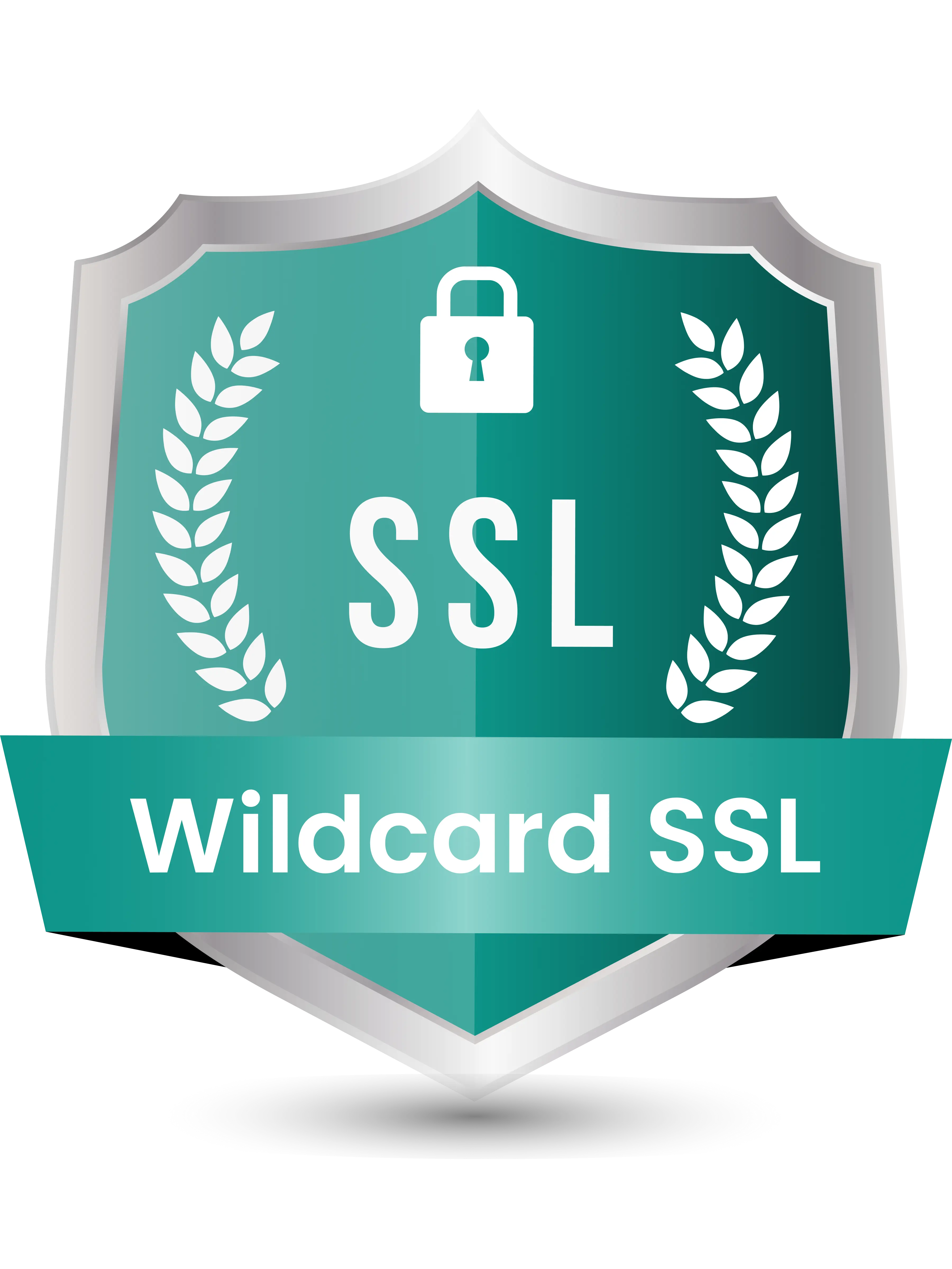 Wildcard SSL