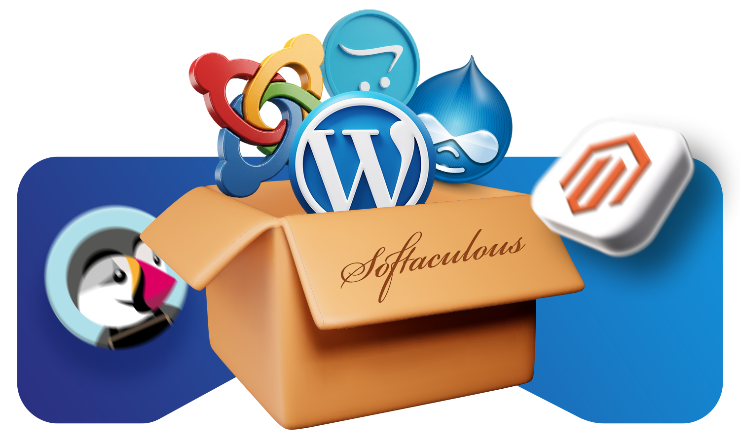 Softaculous ile WordPress ve CMS kurulumu