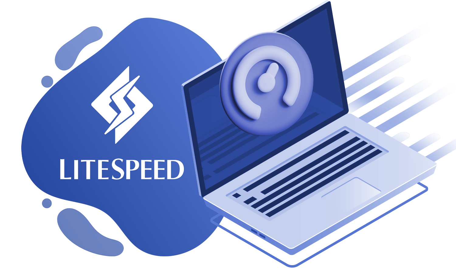 LiteSpeed web sunucusu ile yüksek performanslı hosting