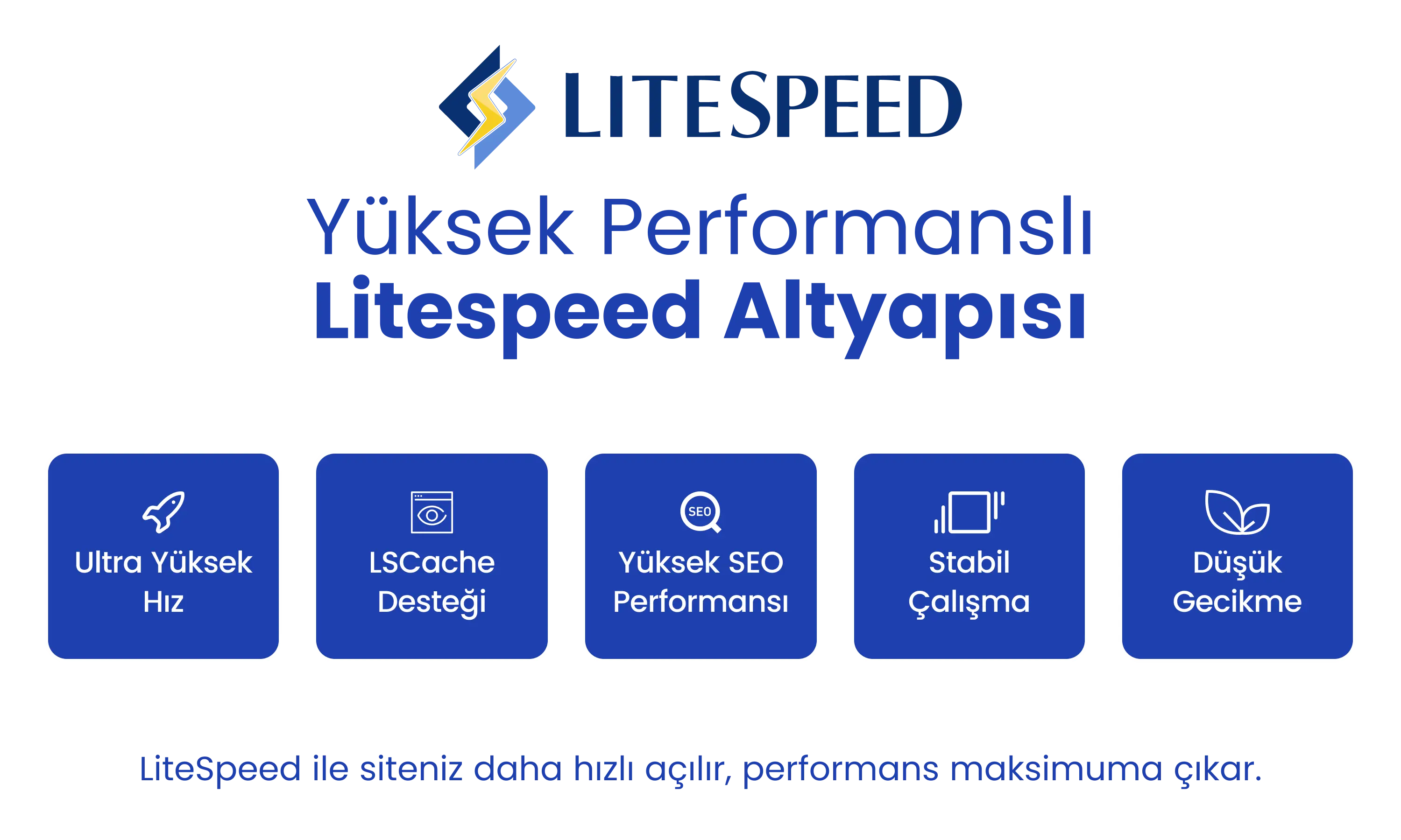 LiteSpeed web sunucusu ile yüksek performanslı hosting