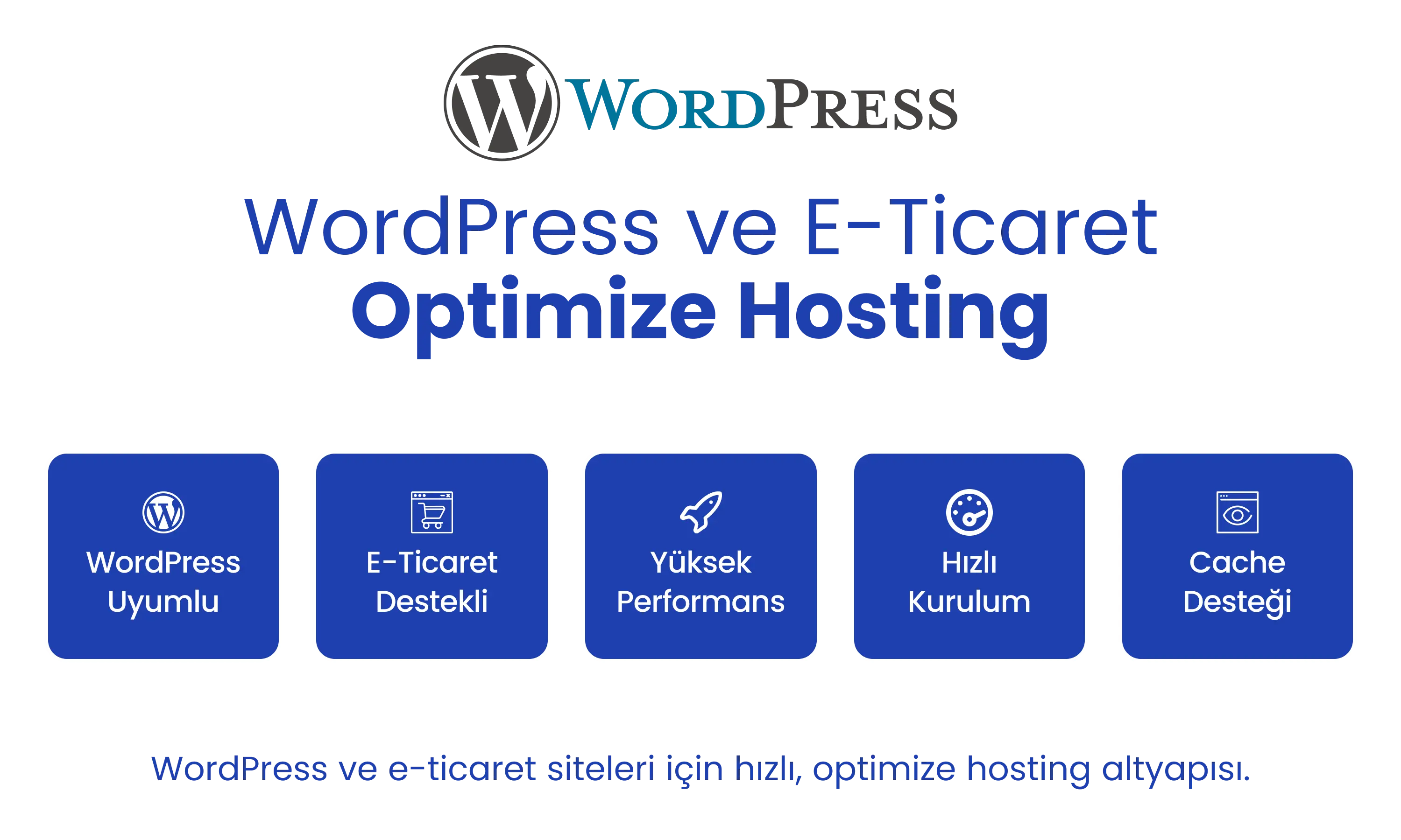 WordPress hosting ve e-ticaret hosting çözümleri