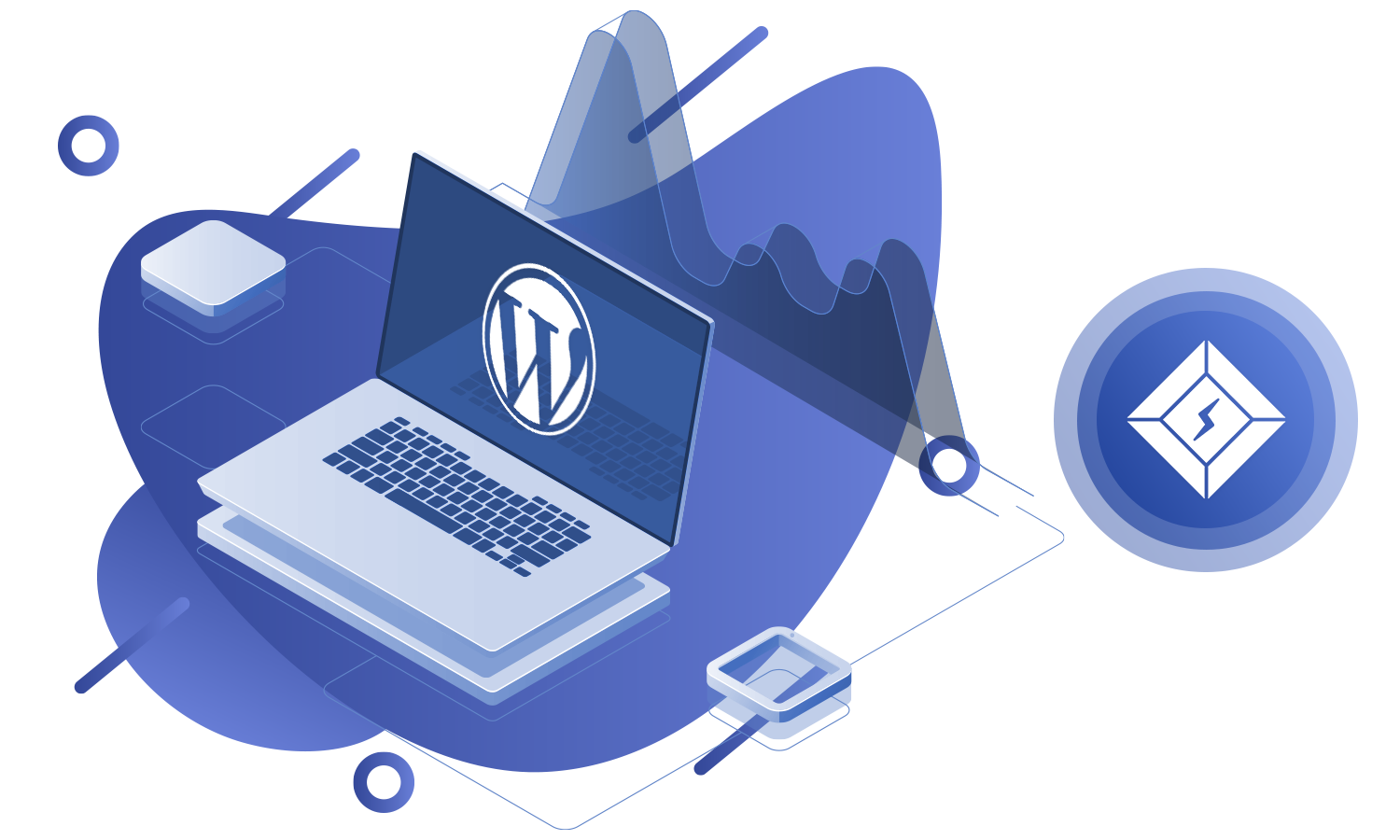LSCache ile WordPress hosting hız optimizasyonu