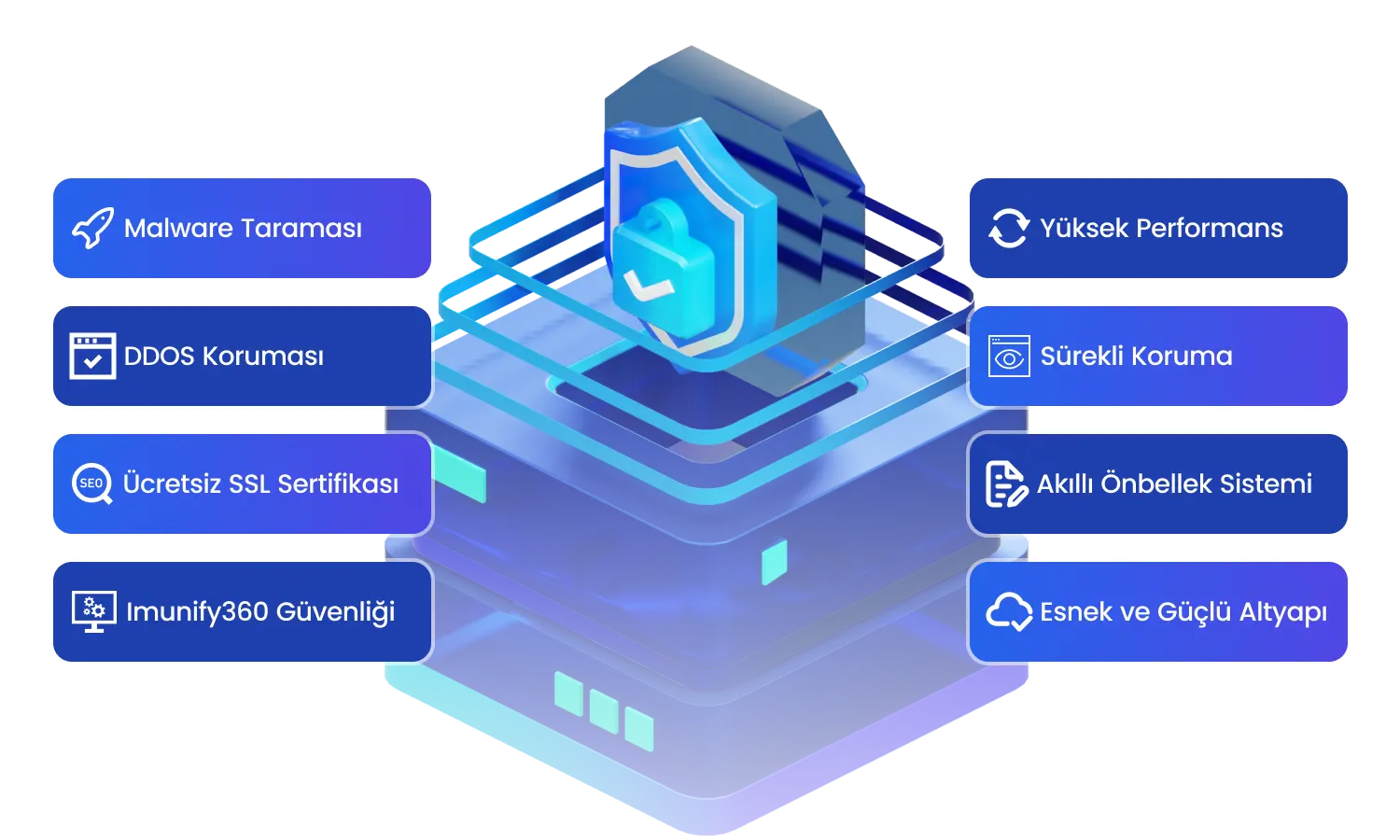 WordPress hosting güvenlik ve performans